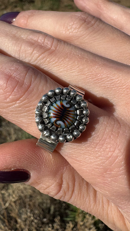 Ring Collab with Clinton Reynolds